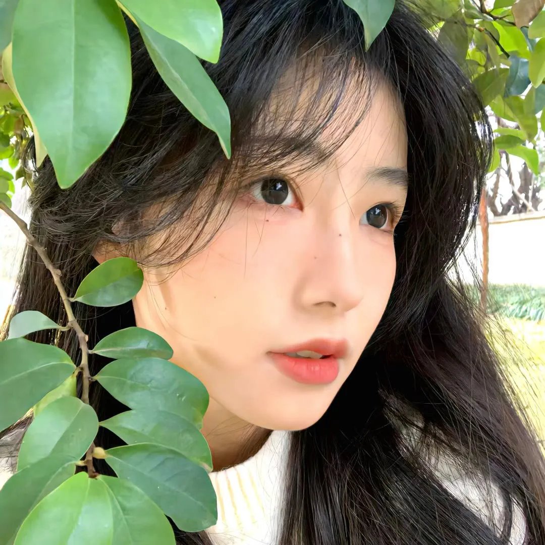 忠烈图